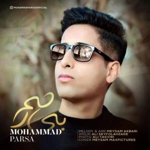 دانلود آهنگ محمد پارسا به نام بی رحم